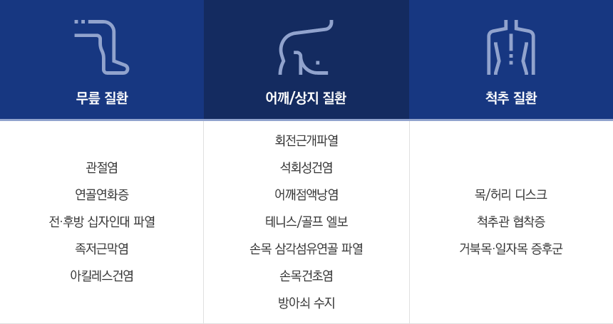 �����δ밭ȭ�ֻ� ġ�ᰡ ������ ��ȯ